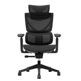 Ergonomic office chair with black mesh headrest, padded seat, and 5-star base