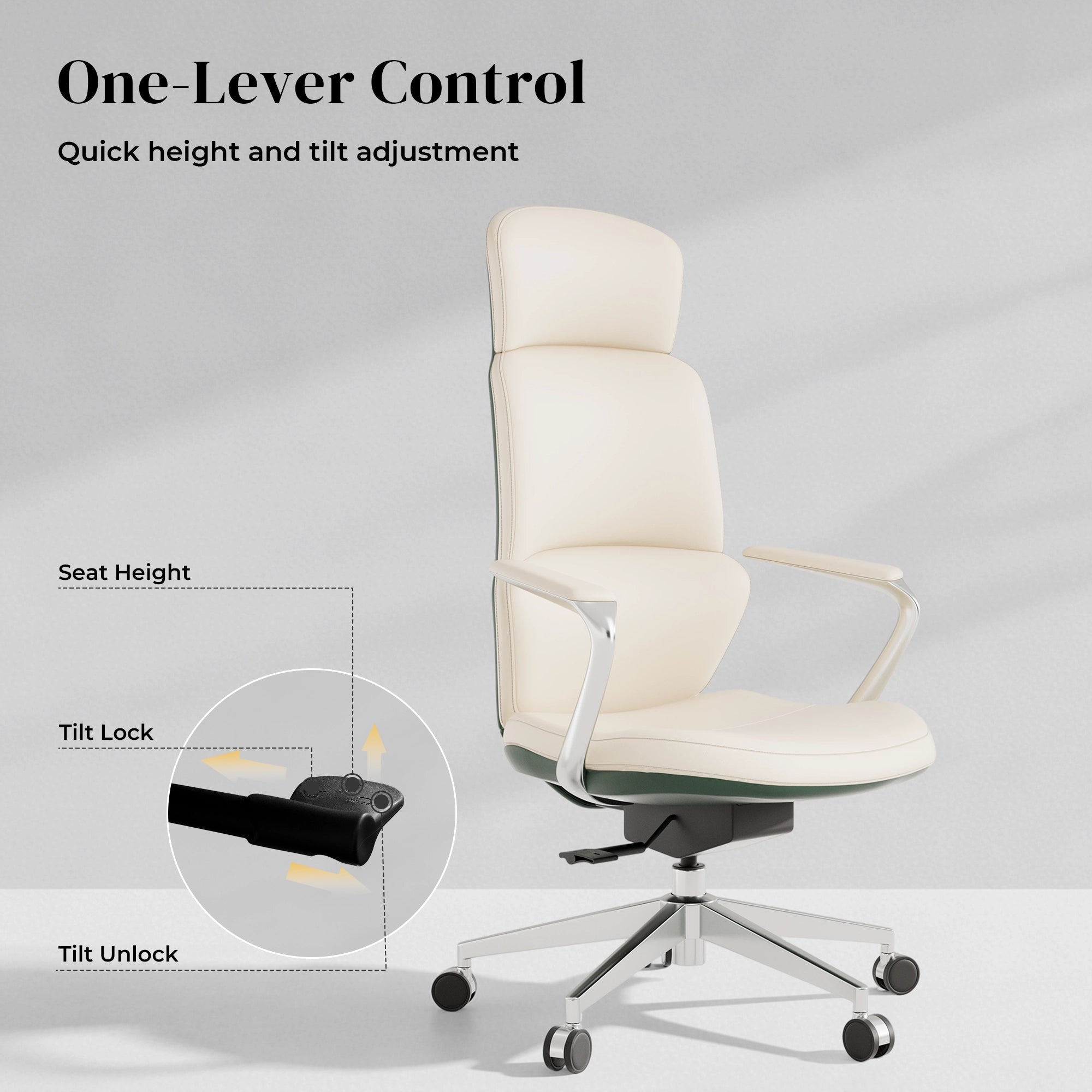 Nolan Leather Chair with Classic Design