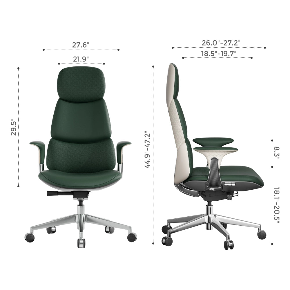 Nolan Leather Chair with Classic Design