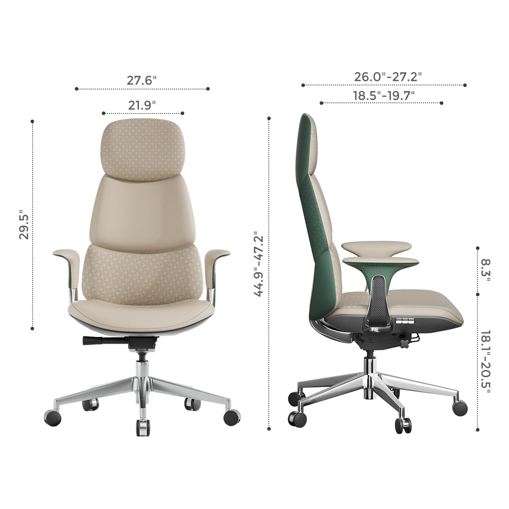 Nolan Leather Chair with Classic Design
